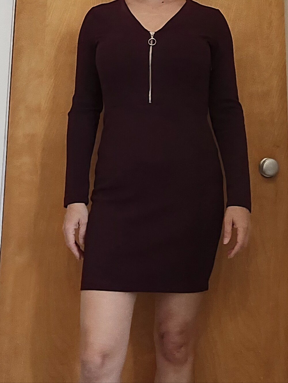 Dynamite Deep Plum Long Sleeve Zip-Front Dress